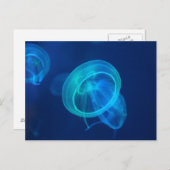 青クラゲ ポストカード (正面/裏面)