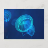 青クラゲ ポストカード (正面)