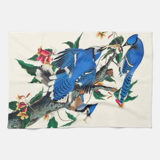 青ジェイズ キッチンタオル (横)