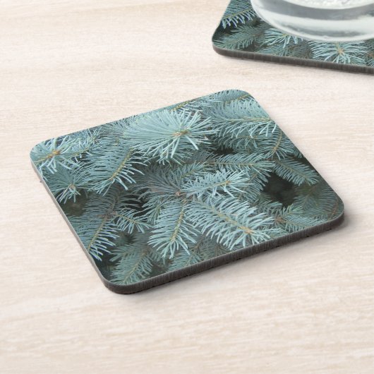青トウヒの木グレーの青の素朴な自然 コースター (左側)