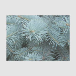 青トウヒの灰色の冬 薄葉紙