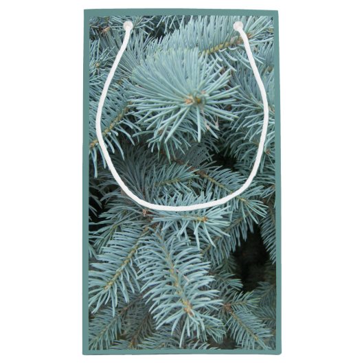 青トウヒ灰色の緑の木の抱き枕 スモールペーパーバッグ (裏面)