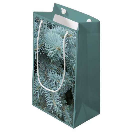 青トウヒ灰色の緑の木の抱き枕 スモールペーパーバッグ (正面アングル)