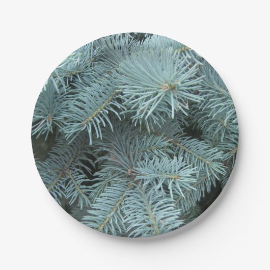 青トウヒ灰色の緑の素朴な自然 ペーパープレート (正面)