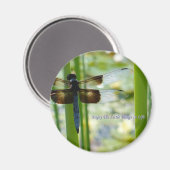 青トンボ磁石 マグネット (正面/裏面)