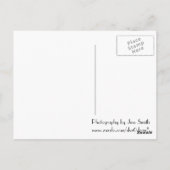 青トンボ葉書 ポストカード (裏面)