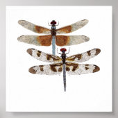 青トンボ ポスター (正面)