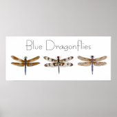 青トンボ ポスター (正面)