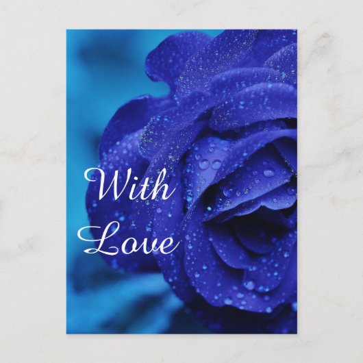 青バラ花 ポストカード (正面)