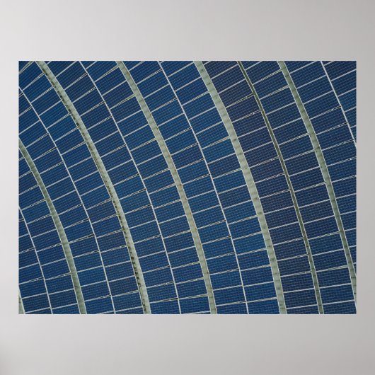 青パネ太陽のルロット ポスター (正面)