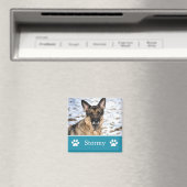 青パーソナライズされた色ペット用フォトマグネット マグネット (インサイチュ (食洗機))