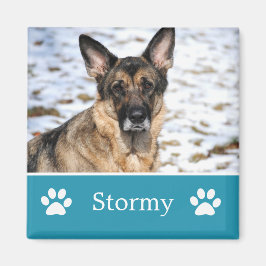 青パーソナライズされた色ペット用フォトマグネット マグネット