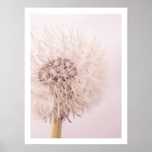 青フェミニン色ピンクのタンデロン写真ウォールアート ポスター (正面)