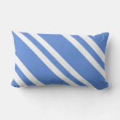 青フランスのと白のストライプ アウトドアクッション (裏面)