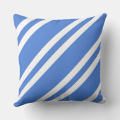 青フランスのと白のストライプ クッション (裏面)