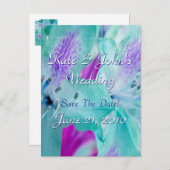 青フローラ 案内ポストカード (正面/裏面)