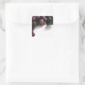 青ブドウ スクエアシール (バッグ)