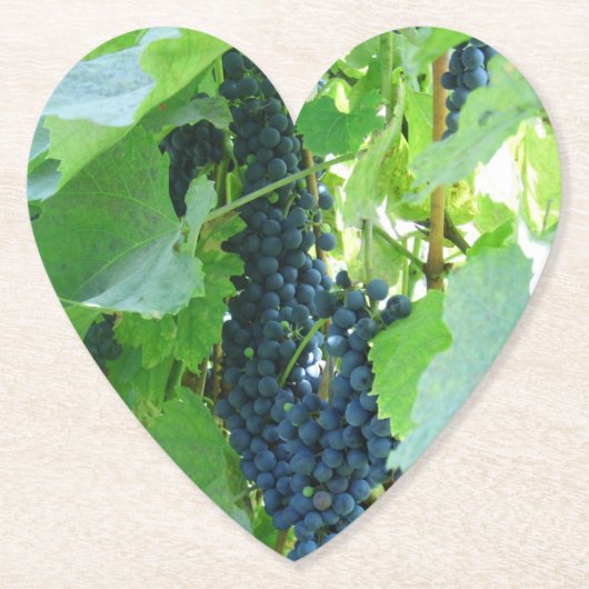 青ブドウ ペーパーコースター (正面)