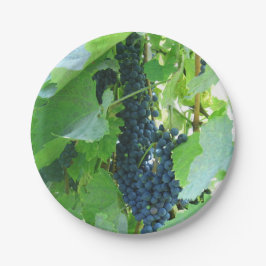 青ブドウ ペーパープレート