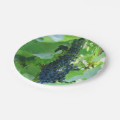 青ブドウ ペーパープレート (アングル)