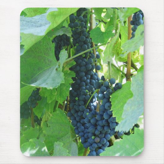 青ブドウ マウスパッド (正面)