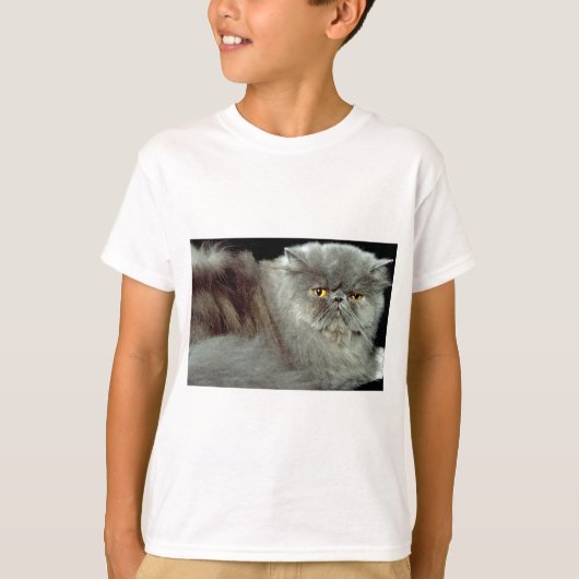 青ペルシア Tシャツ (正面)