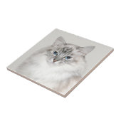 青ポイントヒマラヤ猫 タイル (側面)