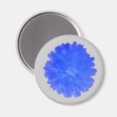 青マリゴールド磁石 マグネット (正面/裏面)