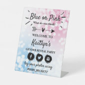 青モダンかピンク？性別によるパーティー歓迎 台座サイン (正面)