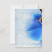 青モダン熱帯水色の蘭の花 サンキューカード (裏面)