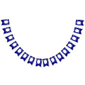 青モダン院写真卒業キャップ、卒業証書 バンティングフラッグ (全)