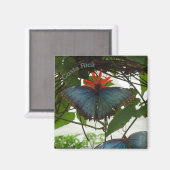 青モルフォ蝶お客様。マグネット マグネット (正面/裏面)