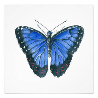 青モルフォ蝶の水の色絵画の フォトプリント