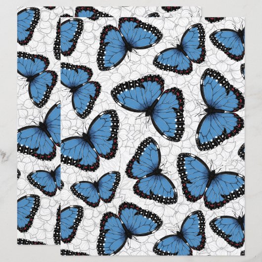 青モルフォ (正面/裏面)