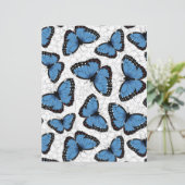 青モルフォ (スタンド正面)