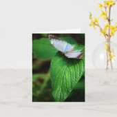 青モルフォ112カード カード (黄色い花)