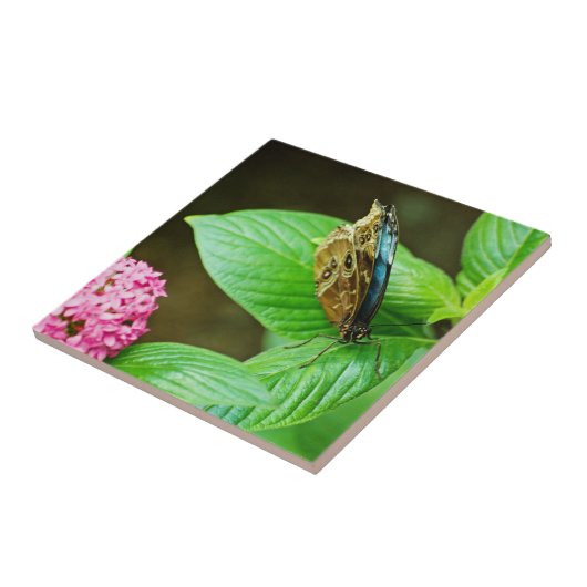 青モルフォ143タイル タイル (側面)