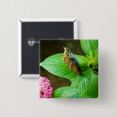 青モーフォ143ボタン 缶バッジ (正面&裏面)