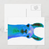 青ラマ図 ポストカード (正面/裏面)