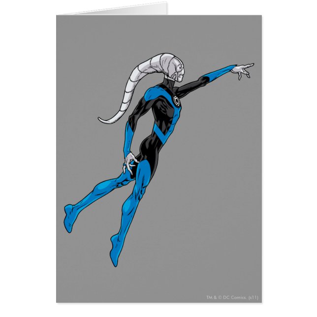 青ランタン10 (正面)