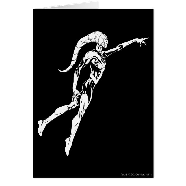 青ランタン11 (正面)