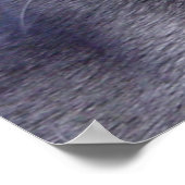 青ロシアのい‎猫 ポスター (角)