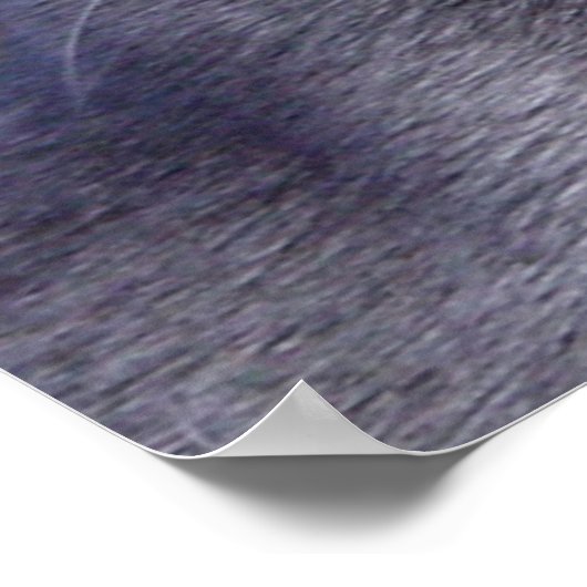 青ロシアのい‎猫 ポスター (角)