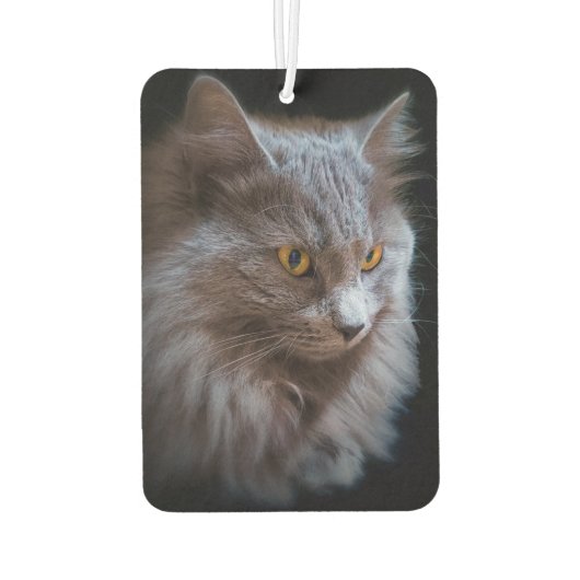 青ロシアの品種グレーのネベルン猫 カーエアーフレッシュナー (裏面)