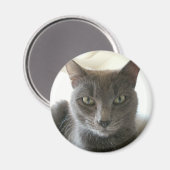 青ロシアの混合 マグネット (正面/裏面)