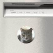 青ロシアの混合 マグネット (インサイチュ (食洗機))