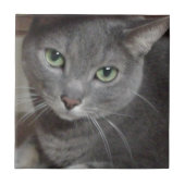 青ロシアの灰色の猫 タイル (正面)
