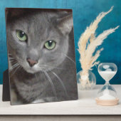 青ロシアの灰色の猫 フォトプラーク (側面)