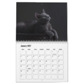 青ロシアの猫カレンダー カレンダー (1月 2027)