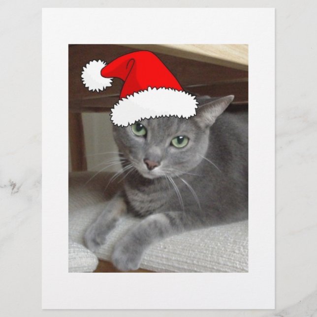青ロシアの猫クリスマス (正面)